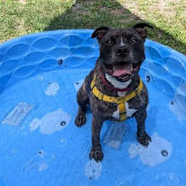 Thumbnail photo of Wilson #2