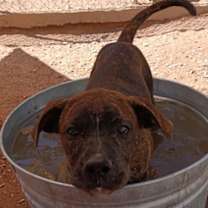 Thumbnail photo of Bingley #3