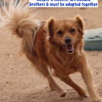 Thumbnail photo of Cooper #3