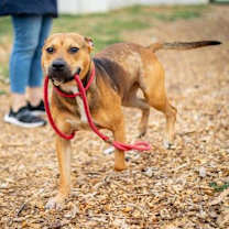 Thumbnail photo of Wrigley - IN FOSTER #3