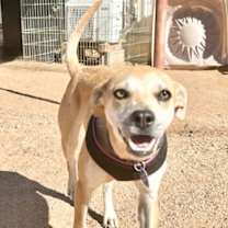 Thumbnail photo of Apple #3