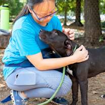 Thumbnail photo of Butler - IN FOSTER #2