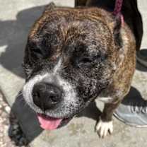 Thumbnail photo of NORA #2