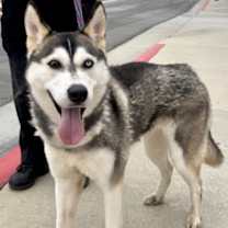 Thumbnail photo of MOON #2