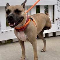 Thumbnail photo of PRINCESS #2