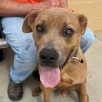 Thumbnail photo of DUSTIN #2