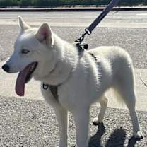 Thumbnail photo of WYOMING #3