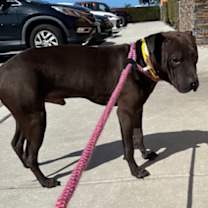 Thumbnail photo of BERT #3