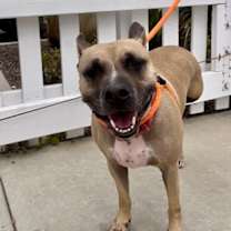 Thumbnail photo of PRINCESS #3