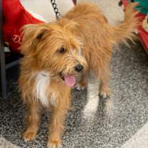 Thumbnail photo of Jake #2