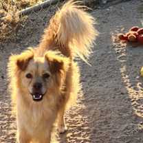 Thumbnail photo of Lucky #2