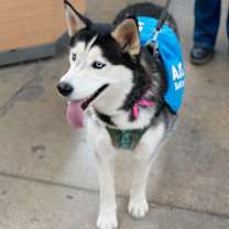 Thumbnail photo of Kayla #2