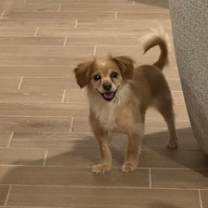 Thumbnail photo of Chica #2