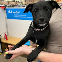 Thumbnail photo of Ana #2