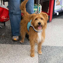 Thumbnail photo of Jake #3