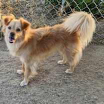 Thumbnail photo of Lucky #3
