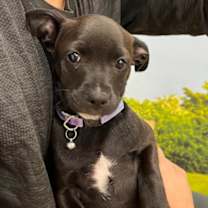 Thumbnail photo of Ana #3