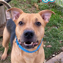 Thumbnail photo of George #2