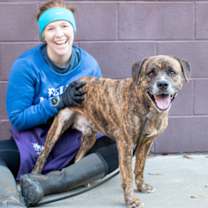 Thumbnail photo of Subaru - IN FOSTER #2