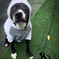 Thumbnail photo of Hero #2