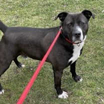 Thumbnail photo of Hero #3