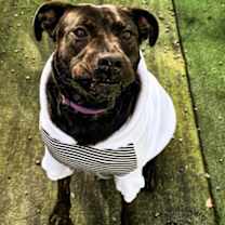 Thumbnail photo of Fiona #2