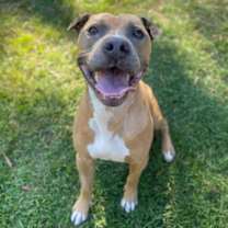 Thumbnail photo of Bill Furry #2