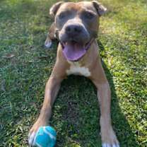 Thumbnail photo of Bill Furry #3