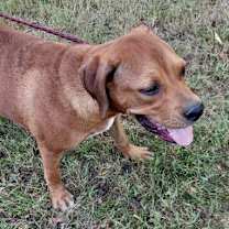 Thumbnail photo of Sandy #2