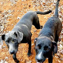 Thumbnail photo of Clint #3