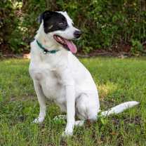 Thumbnail photo of Penny #2
