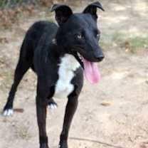 Thumbnail photo of Cash #2