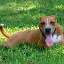 Thumbnail photo of Bruce #3