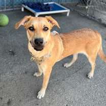 Thumbnail photo of Darcy #2