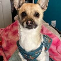 Thumbnail photo of Joseph #2