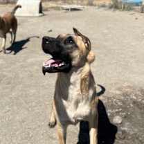 Thumbnail photo of Aisha #3