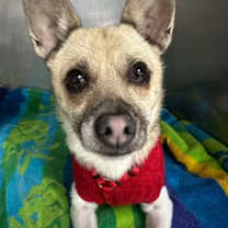 Thumbnail photo of Joseph #3