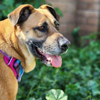 Thumbnail photo of Reba #3