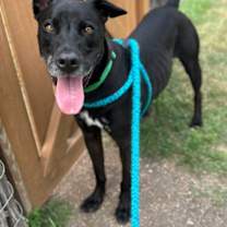 Thumbnail photo of Geoffry #2