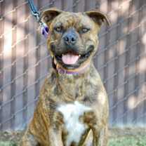 Thumbnail photo of Bixby #2