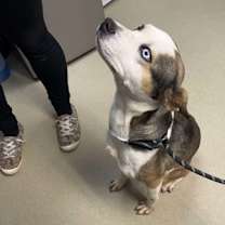 Thumbnail photo of Calli #3