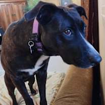 Thumbnail photo of Lucinda #3