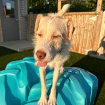 Thumbnail photo of Jeffrey #2