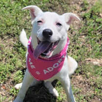 Thumbnail photo of Freckles #3