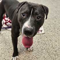 Thumbnail photo of Drop #3