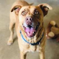 Thumbnail photo of Remington #2