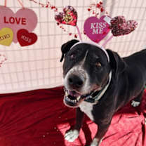 Thumbnail photo of Tate #2