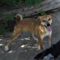 Thumbnail photo of Luke #2