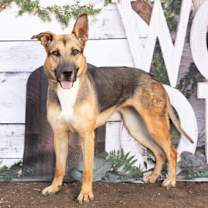 Thumbnail photo of Harvest #2