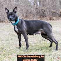 Thumbnail photo of Storm #2